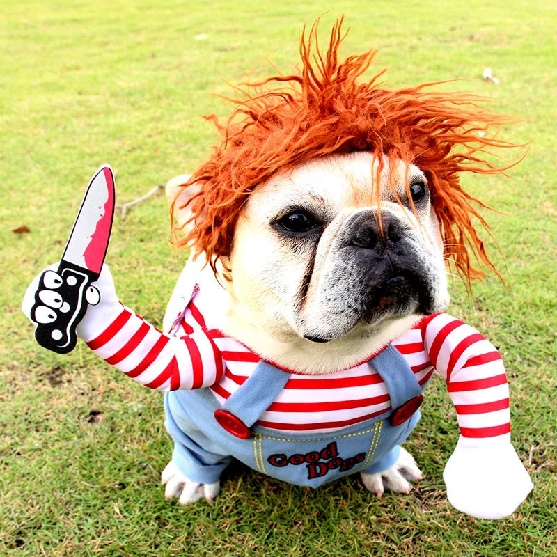 Fantasia Chucky | Para Cachorro