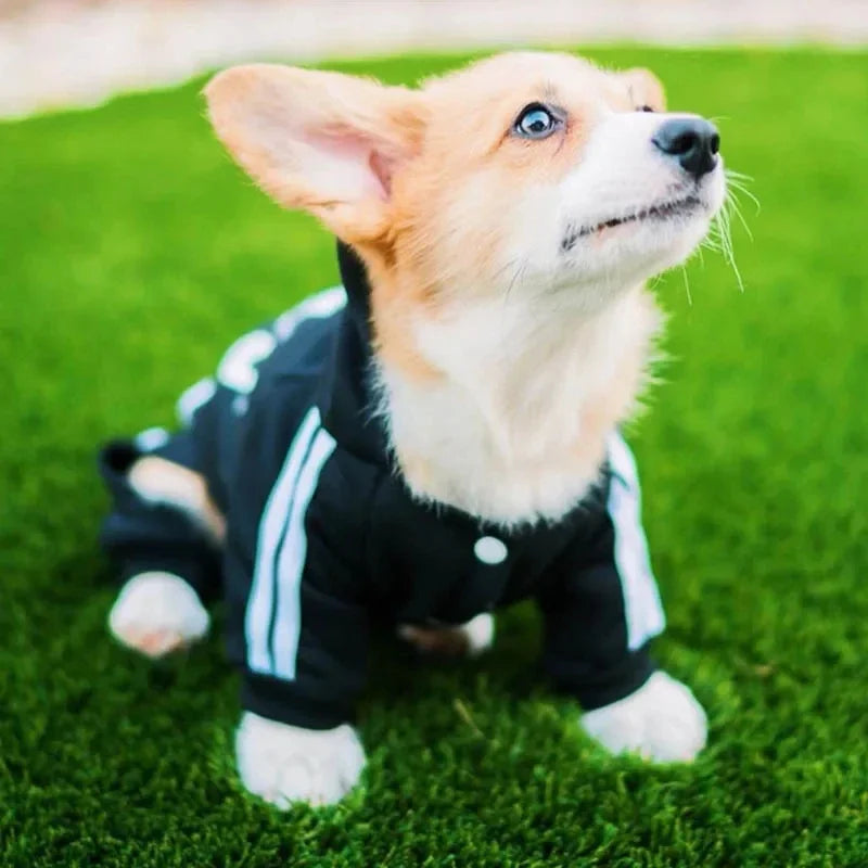 Roupa para Cachorros Pequenos - ADIDOG